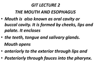 GIT LECTURE 2
THE MOUTH AND ESOPHAGUS
• Mouth is also known as oral cavity or
buccal cavity. It is formed by cheeks, lips and
palate. It encloses
• the teeth, tongue and salivary glands.
Mouth opens
• anteriorly to the exterior through lips and
• Posteriorly through fauces into the pharynx.
 