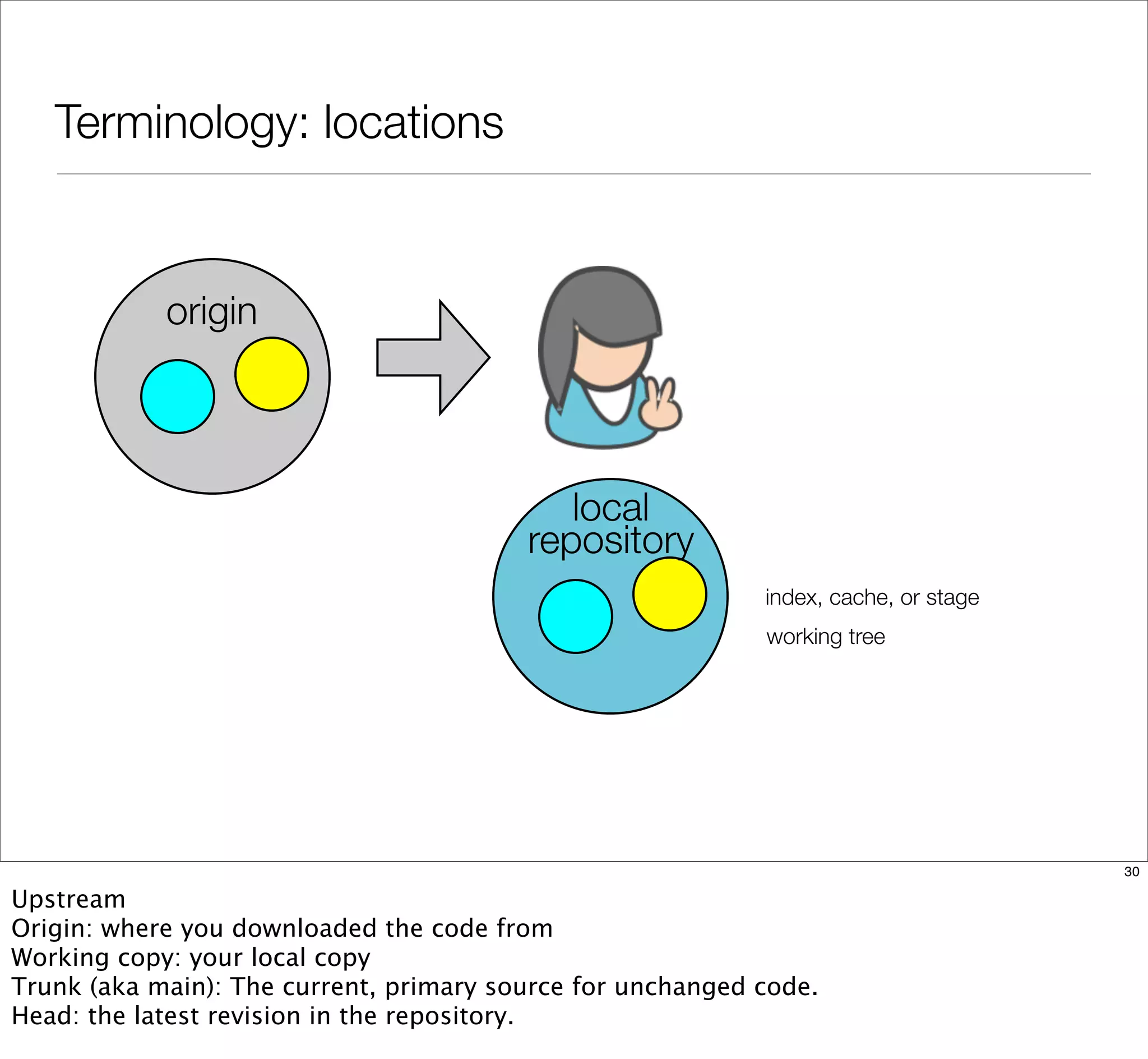 Terminology: locations
origin
local
repository
index, cache, or stage
working tree
30
Upstream
Origin: where you downloaded the code from
Working copy: your local copy
Trunk (aka main): The current, primary source for unchanged code.
Head: the latest revision in the repository.
 