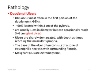 Pathology
• Duodenal Ulcers
• DUs occur most often in the first portion of the
duodenum (>95%),
• ~90% located within 3 cm of the pylorus.
• are usually 1 cm in diameter but can occasionally reach
3–6 cm (giant ulcer).
• Ulcers are sharply demarcated, with depth at times
reaching the muscularis propria.
• The base of the ulcer often consists of a zone of
eosinophilic necrosis with surrounding fibrosis.
• Malignant DUs are extremely rare.
03/10/2017 Bachelor of Clinical Medicine 53
 
