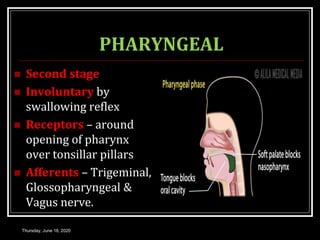 PHARYNGEAL
 Second stage
 Involuntary by
swallowing reflex
 Receptors – around
opening of pharynx
over tonsillar pillars
 Afferents – Trigeminal,
Glossopharyngeal &
Vagus nerve.
Thursday, June 18, 2020
 