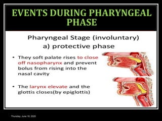 EVENTS DURING PHARYNGEAL
PHASE
Thursday, June 18, 2020
 