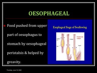 OESOPHAGEAL
 Food pushed from upper
part of oesophagus to
stomach by oesophageal
peristalsis & helped by
greavity.
Thursday, June 18, 2020
 