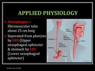APPLIED PHYSIOLOGY
 Oesophagus –
fibromuscular tube
about 25 cm long
 Seperated from pharynx
by UES (Upper
oesophageal sphincter
& stomach by LES
(Lower oesophageal
sphincter)
Thursday, June 18, 2020
 