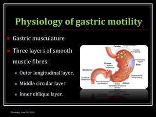Physiology of gastric motility
 Gastric musculature
 Three layers of smooth
muscle fibres:
 Outer longitudinal layer,
 Middle circular layer
 Inner oblique layer.
Thursday, June 18, 2020
 
