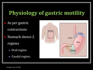 Physiology of gastric motility
 As per gastric
contractions
 Stomach shows 2
regions
 Oral region
 Caudal region.
Thursday, June 18, 2020
 