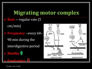 Migrating motor complex
 Rate -- regular rate (5
cm/min)
 Frequency - every 60–
90 min during the
interdigestive period
 Motilin
 Food entry
Thursday, June 18, 2020
 