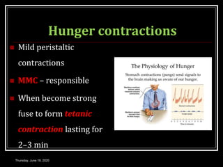 Hunger contractions
 Mild peristaltic
contractions
 MMC – responsible
 When become strong
fuse to form tetanic
contraction lasting for
2–3 min
Thursday, June 18, 2020
 