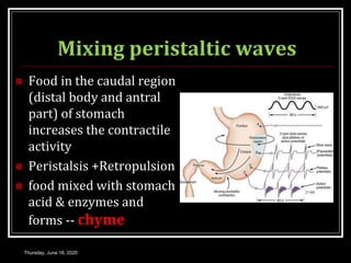Mixing peristaltic waves
 Food in the caudal region
(distal body and antral
part) of stomach
increases the contractile
activity
 Peristalsis +Retropulsion
 food mixed with stomach
acid & enzymes and
forms -- chyme
Thursday, June 18, 2020
 
