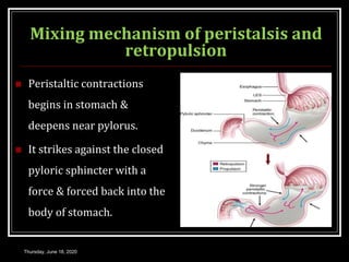 Mixing mechanism of peristalsis and
retropulsion
 Peristaltic contractions
begins in stomach &
deepens near pylorus.
 It strikes against the closed
pyloric sphincter with a
force & forced back into the
body of stomach.
Thursday, June 18, 2020
 