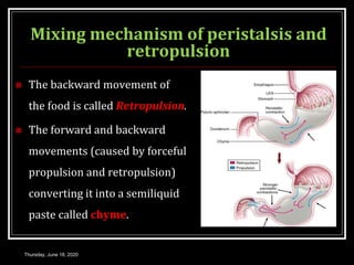 Mixing mechanism of peristalsis and
retropulsion
 The backward movement of
the food is called Retropulsion.
 The forward and backward
movements (caused by forceful
propulsion and retropulsion)
converting it into a semiliquid
paste called chyme.
Thursday, June 18, 2020
 