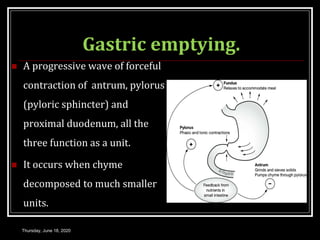 Gastric emptying.
 A progressive wave of forceful
contraction of antrum, pylorus
(pyloric sphincter) and
proximal duodenum, all the
three function as a unit.
 It occurs when chyme
decomposed to much smaller
units.
Thursday, June 18, 2020
 