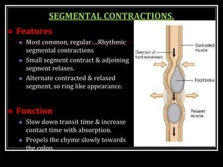 SEGMENTAL CONTRACTIONS.
 Features
 Most common, regular….Rhythmic
segmental contractions
 Small segment contract & adjoining
segment relaxes.
 Alternate contracted & relaxed
segment, so ring like appearance.
 Function
 Slow down transit time & increase
contact time with absorption.
 Propels the chyme slowly towards
the colon.
 