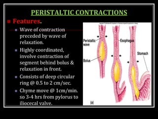 PERISTALTIC CONTRACTIONS
 Features.
 Wave of contraction
preceded by wave of
relaxation.
 Highly coordinated,
involve contraction of
segment behind bolus &
relaxation in front.
 Consists of deep circular
ring @ 0.5 to 2 cm/sec.
 Chyme move @ 1cm/min.
so 3-4 hrs from pylorus to
iliocecal valve.
 