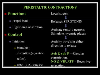 PERISTALTIC CONTRACTIONS
 Functions
 Propel food.
 Digestion & absorption.
 Control
 Initiation
 Stimulus –
distention.(myentric
reflex).
 Rate – 2-2.5 cm/sec.
Local stretch
Releases SEROTONIN
Activate sensory neurons
Stimulate myentric plexus
Activity travels in either
direction to release
Ach & sub P —Circular
constriction.
NO & VIP, ATP – Receptive
relaxation.
 