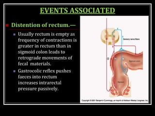EVENTS ASSOCIATED
 Distention of rectum.—
 Usually rectum is empty as
frequency of contractions is
greater in rectum than in
sigmoid colon leads to
retrograde movements of
fecal materials.
 Gastrocolic reflex pushes
faeces into rectum
increases intrarectal
pressure passively.
 