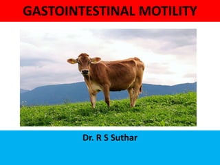 GASTOINTESTINAL MOTILITY
Dr. R S Suthar
 