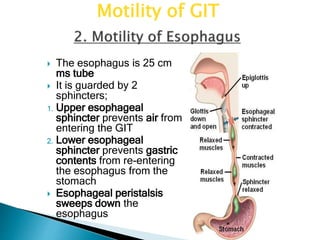GIT Motility.ppt