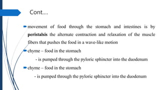 Cont.…
movement of food through the stomach and intestines is by
peristalsis the alternate contraction and relaxation of the muscle
fibers that pushes the food in a wave-like motion
chyme – food in the stomach
- is pumped through the pyloric sphincter into the duodenum
chyme – food in the stomach
- is pumped through the pyloric sphincter into the duodenum
 