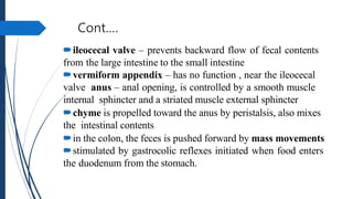 Cont.…
ileocecal valve – prevents backward flow of fecal contents
from the large intestine to the small intestine
vermiform appendix – has no function , near the ileocecal
valve anus – anal opening, is controlled by a smooth muscle
internal sphincter and a striated muscle external sphincter
chyme is propelled toward the anus by peristalsis, also mixes
the intestinal contents
in the colon, the feces is pushed forward by mass movements
stimulated by gastrocolic reflexes initiated when food enters
the duodenum from the stomach.
 