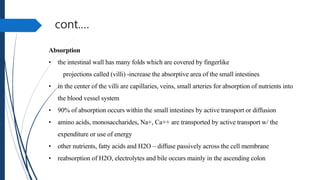 cont.…
Absorption
• the intestinal wall has many folds which are covered by fingerlike
projections called (villi) -increase the absorptive area of the small intestines
• in the center of the villi are capillaries, veins, small arteries for absorption of nutrients into
the blood vessel system
• 90% of absorption occurs within the small intestines by active transport or diffusion
• amino acids, monosaccharides, Na+, Ca++ are transported by active transport w/ the
expenditure or use of energy
• other nutrients, fatty acids and H2O – diffuse passively across the cell membrane
• reabsorption of H2O, electrolytes and bile occurs mainly in the ascending colon
 