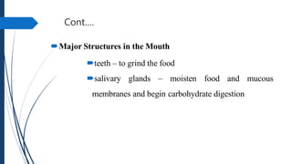 Cont.…
Major Structures in the Mouth
teeth – to grind the food
salivary glands – moisten food and mucous
membranes and begin carbohydrate digestion
 