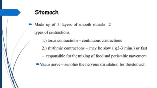 Stomach
 Made up of 5 layers of smooth muscle 2
types of contractions:
1.) tonus contractions – continuous contractions
2...