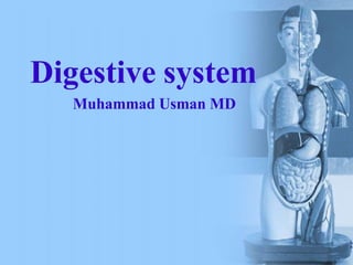 Digestive system
Muhammad Usman MD
 