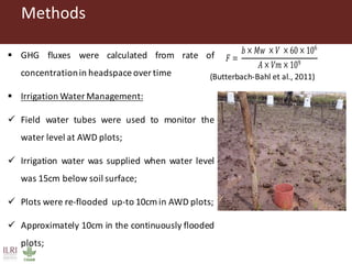 Gitonga, Jane - Climate Food and Farming CLIFF Network annual workshop November 2017