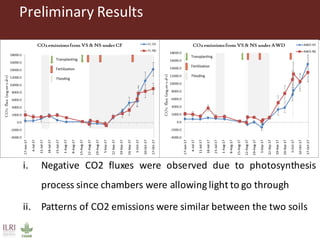 Gitonga, Jane - Climate Food and Farming CLIFF Network annual workshop November 2017