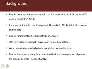 Gitonga, Jane - Climate Food and Farming CLIFF Network annual workshop November 2017