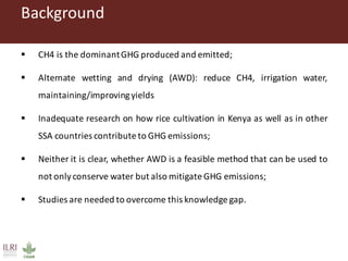 Gitonga, Jane - Climate Food and Farming CLIFF Network annual workshop November 2017