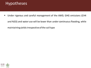 Gitonga, Jane - Climate Food and Farming CLIFF Network annual workshop November 2017