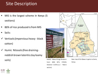 Gitonga, Jane - Climate Food and Farming CLIFF Network annual workshop November 2017