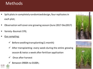 Gitonga, Jane - Climate Food and Farming CLIFF Network annual workshop November 2017