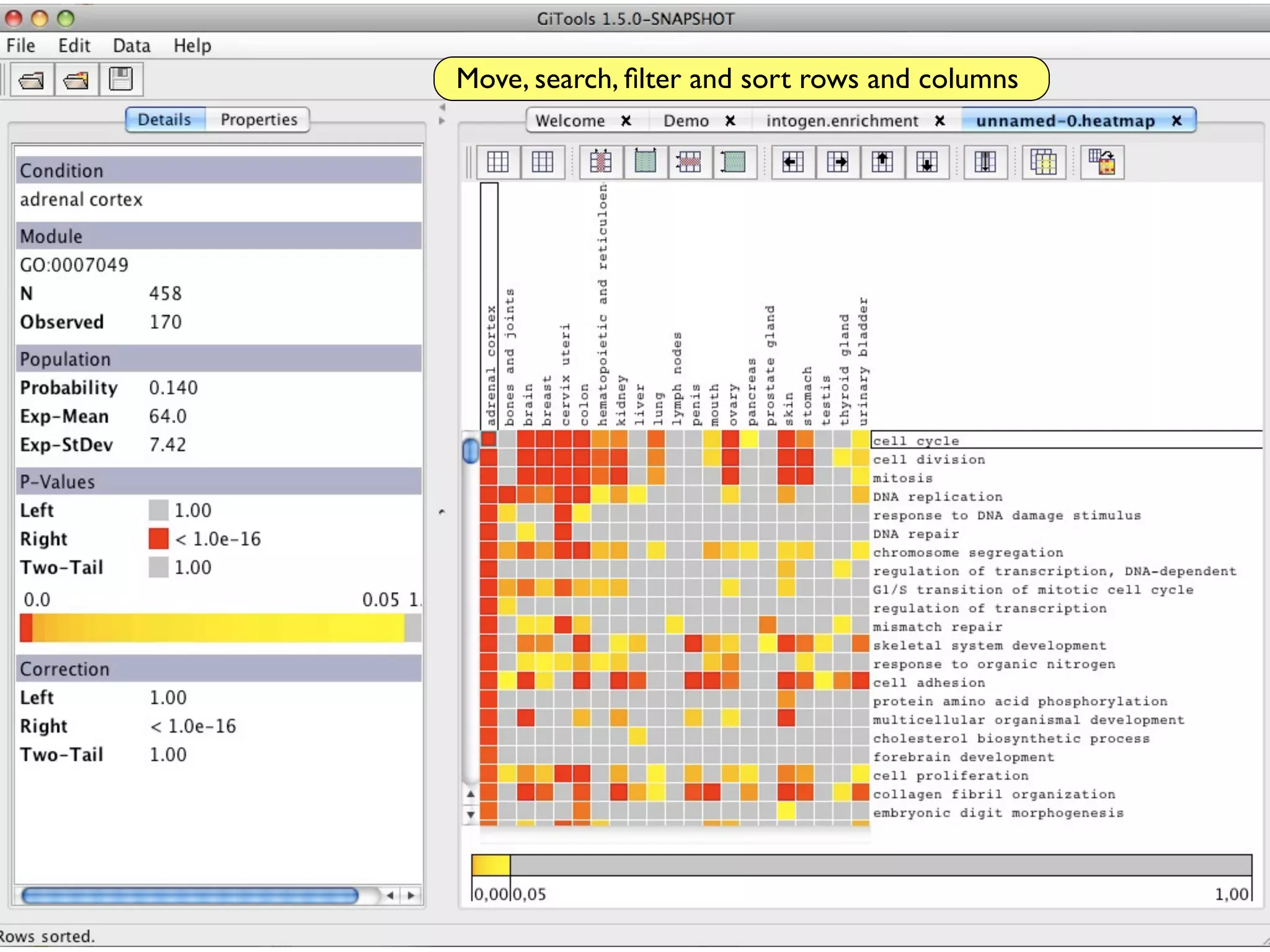 Move, search, ﬁlter and sort rows and columns
 