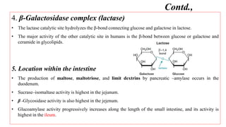 4. β-Galactosidase complex (lactase)
• The lactase catalytic site hydrolyzes the β-bond connecting glucose and galactose in lactose.
• The major activity of the other catalytic site in humans is the β-bond between glucose or galactose and
ceramide in glycolipids.
5. Location within the intestine
• The production of maltose, maltotriose, and limit dextrins by pancreatic –amylase occurs in the
duodenum.
• Sucrase–isomaltase activity is highest in the jejunum.
• β -Glycosidase activity is also highest in the jejenum.
• Glucoamylase activity progressively increases along the length of the small intestine, and its activity is
highest in the ileum.
Contd.,
 