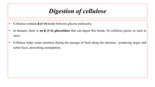 Digestion of cellulose
• Cellulose contains β (1-4) bonds between glucose molecules.
• In humans, there is no β (1-4) glucosidase that can digest this bonds. So cellulose passes as such in
stool.
• Cellulose helps water retention during the passage of food along the intestine, producing larger and
softer feces, preventing constipation.
 