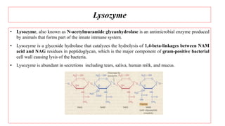 Lysozyme
• Lysozyme, also known as N-acetylmuramide glycanhydrolase is an antimicrobial enzyme produced
by animals that forms part of the innate immune system.
• Lysozyme is a glycoside hydrolase that catalyzes the hydrolysis of 1,4-beta-linkages between NAM
acid and NAG residues in peptidoglycan, which is the major component of gram-positive bacterial
cell wall causing lysis of the bacteria.
• Lysozyme is abundant in secretions including tears, saliva, human milk, and mucus.
 