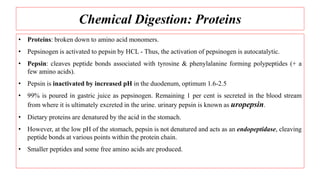Chemical Digestion: Proteins
• Proteins: broken down to amino acid monomers.
• Pepsinogen is activated to pepsin by HCL - Thus, the activation of pepsinogen is autocatalytic.
• Pepsin: cleaves peptide bonds associated with tyrosine & phenylalanine forming polypeptides (+ a
few amino acids).
• Pepsin is inactivated by increased pH in the duodenum, optimum 1.6-2.5
• 99% is poured in gastric juice as pepsinogen. Remaining 1 per cent is secreted in the blood stream
from where it is ultimately excreted in the urine. urinary pepsin is known as uropepsin.
• Dietary proteins are denatured by the acid in the stomach.
• However, at the low pH of the stomach, pepsin is not denatured and acts as an endopeptidase, cleaving
peptide bonds at various points within the protein chain.
• Smaller peptides and some free amino acids are produced.
 