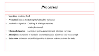 Processes
• Ingestion: obtaining food
• Propulsion: moves food along the GI tract by peristalsis
• Mechanical digestion : Chewing & mixing with saliva
mixing in stomach
• Chemical digestion : Action of gastric, pancreatic and intestinal enzymes
• Absorption: movement of nutrients across the mucosal membrane into blood/lymph
• Defecation: eliminates unused/indigestible & secreted substances from the body
 