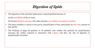 Digestion of lipids
• The digestion of fats and other lipids poses a special problem because of
(a) the insolubility of fats in water,
(b) because lipolytic enzymes, like other enzymes, are soluble in an aqueous medium.
• The above problem is solved in the gut by emulsification of fats, particularly by bile salts, present in
bile and PL.
• The breaking of large fat particles or oil globules, into smaller fine particles by emulsification
increases the surface exposed to interaction with Lipases and thus, the rate of digestion is
proportionally increased.
 