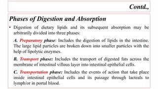 Contd.,
Phases of Digestion and Absorption
• Digestion of dietary lipids and its subsequent absorption may be
arbitrarily divided into three phases:
A. Preparatory phase: Includes the digestion of lipids in the intestine.
The large lipid particles are broken down into smaller particles with the
help of lipolytic enzymes.
B. Transport phase: Includes the transport of digested fats across the
membrane of intestinal villous layer into intestinal epithelial cells.
C. Transportation phase: Includes the events of action that take place
inside intestinal epithelial cells and its passage through lacteals to
lymph/or in portal blood.
 