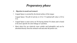 Preparatory phase
1. Digestion in mouth and stomach
• Lingual lipase is secreted by the dorsal surface of the tongue
Lingual lipase: The pH of activity is 2.0 to 7.5 (optimal pH value is 4.0 to
4.5).
• Lingual lipase is more active on TG having shorter FA chains and is found
to be more specific for ester linkage at 3-position.
• Short chain FAs are relatively more soluble and hydrophilic and can be
absorbed directly from the stomach wall and enter the portal vein.
 