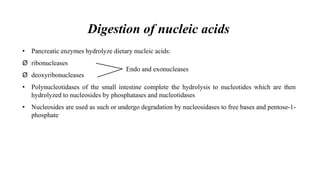 Digestion of nucleic acids
• Pancreatic enzymes hydrolyze dietary nucleic acids:
Ø ribonucleases
Ø deoxyribonucleases
• Polynucleotidases of the small intestine complete the hydrolysis to nucleotides which are then
hydrolyzed to nucleosides by phosphatases and nucleotidases
• Nucleosides are used as such or undergo degradation by nucleosidases to free bases and pentose-1-
phosphate
Endo and exonucleases
 