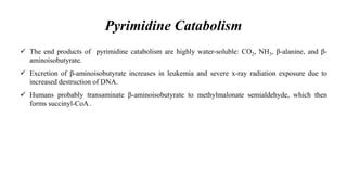 The end products of pyrimidine catabolism are highly water-soluble: CO2, NH3, β-alanine, and β-
aminoisobutyrate.
 Excretion of β-aminoisobutyrate increases in leukemia and severe x-ray radiation exposure due to
increased destruction of DNA.
 Humans probably transaminate β-aminoisobutyrate to methylmalonate semialdehyde, which then
forms succinyl-CoA .
Pyrimidine Catabolism
 