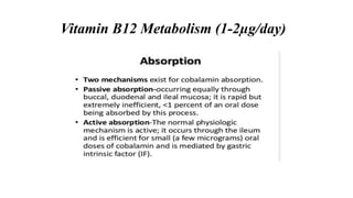 Vitamin B12 Metabolism (1-2µg/day)
 