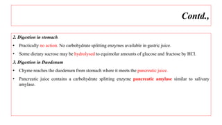 Contd.,
2. Digestion in stomach
• Practically no action. No carbohydrate splitting enzymes available in gastric juice.
• Some dietary sucrose may be hydrolysed to equimolar amounts of glucose and fructose by HCl.
3. Digestion in Duodenum
• Chyme reaches the duodenum from stomach where it meets the pancreatic juice.
• Pancreatic juice contains a carbohydrate splitting enzyme pancreatic amylase similar to salivary
amylase.
 