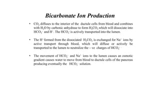 Bicarbonate Ion Production
• CO2 diffuses to the interior of the ductule cells from blood and combines
with H2O by carbonic anhydrase to form H2CO3 which will dissociate into
HCO3
- and H+. The HCO3
- is actively transported into the lumen.
• The H+ formed from the dissociated H2CO3 is exchanged for Na+ ions by
active transport through blood, which will diffuse or actively be
transported to the lumen to neutralize the – ve charges of HCO3
- .
• The movement of HCO3
- and Na+ ions to the lumen causes an osmotic
gradient causes water to move from blood to ductule cells of the pancreas
producing eventually the HCO3
- solution.
 