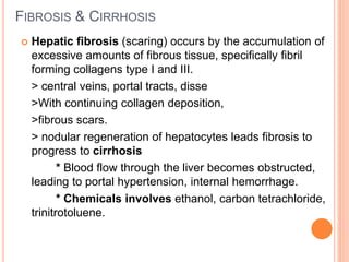 FIBROSIS & CIRRHOSIS
 Hepatic fibrosis (scaring) occurs by the accumulation of
excessive amounts of fibrous tissue, specifically fibril
forming collagens type I and III.
> central veins, portal tracts, disse
>With continuing collagen deposition,
>fibrous scars.
> nodular regeneration of hepatocytes leads fibrosis to
progress to cirrhosis
* Blood flow through the liver becomes obstructed,
leading to portal hypertension, internal hemorrhage.
* Chemicals involves ethanol, carbon tetrachloride,
trinitrotoluene.
 