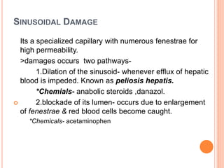 SINUSOIDAL DAMAGE
Its a specialized capillary with numerous fenestrae for
high permeability.
>damages occurs two pathways-
1.Dilation of the sinusoid- whenever efflux of hepatic
blood is impeded. Known as peliosis hepatis.
*Chemials- anabolic steroids ,danazol.
 2.blockade of its lumen- occurs due to enlargement
of fenestrae & red blood cells become caught.
*Chemicals- acetaminophen
 